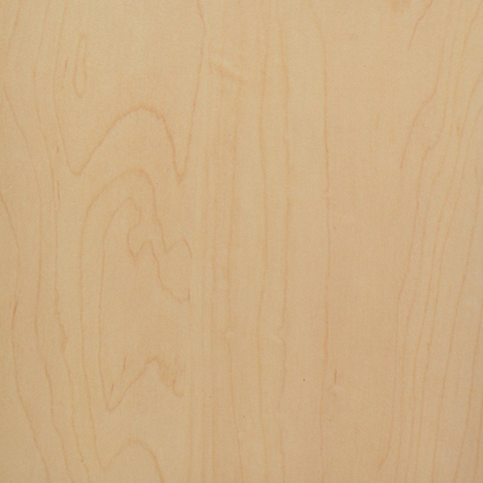 Hard Rock Maple