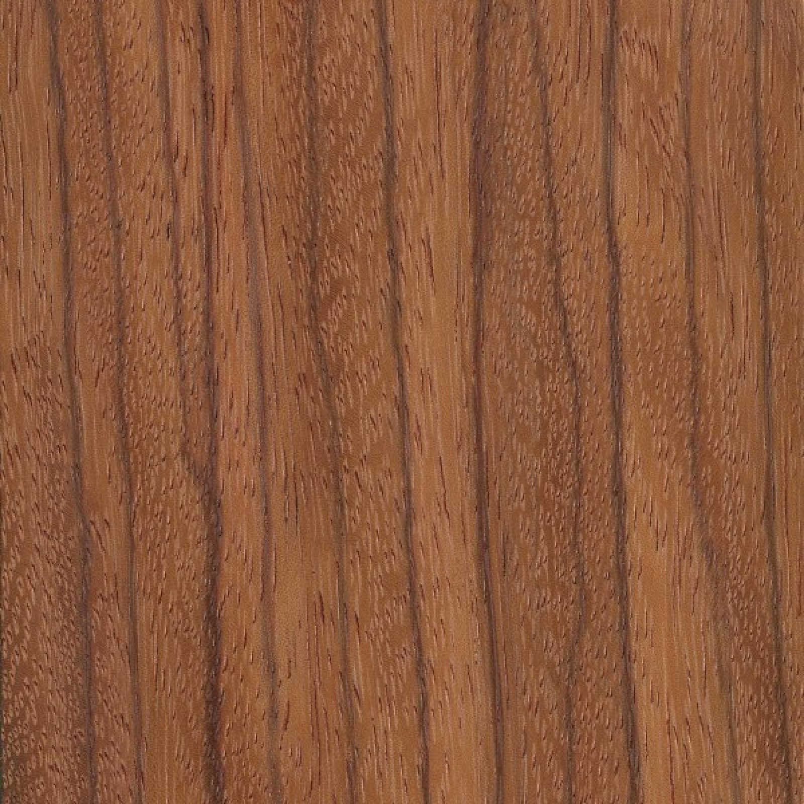 Red Zebrawood