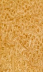 Birdseye Maple